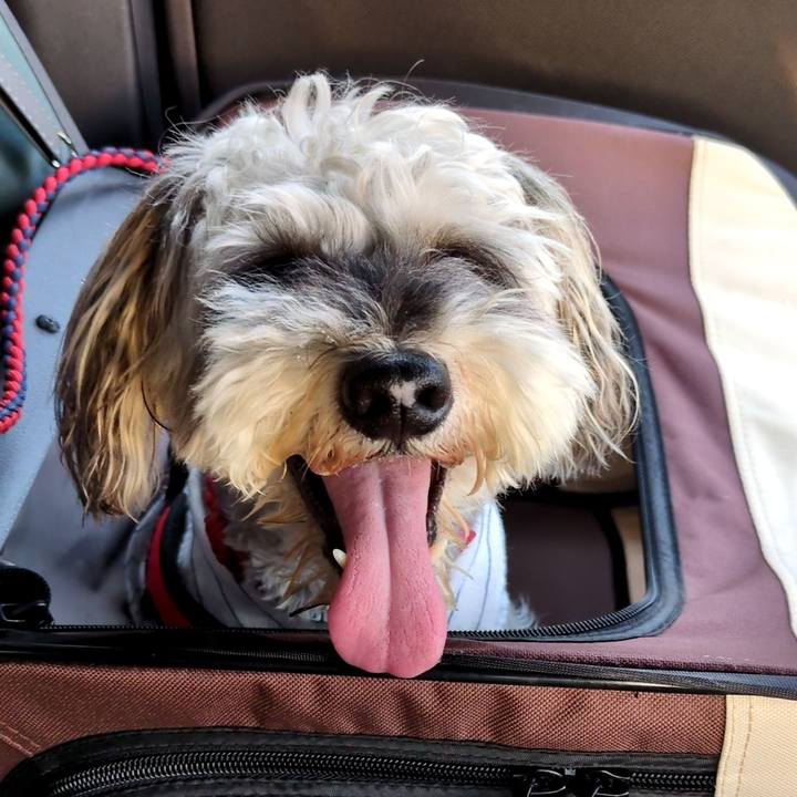 008adde8 8eaf 4c02 af67 a16f7d3eae31 1755092037977