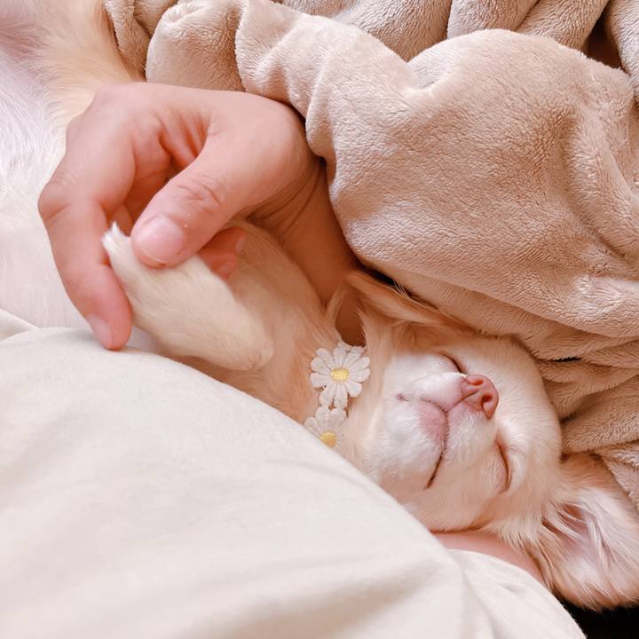 008ae4ab 7c12 45c9 8744 dd0ae7d2da15 1660547773444