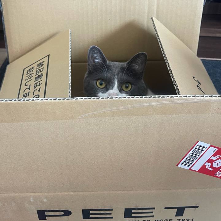 008b0e8c f573 4526 ae7f addc81e96daf 1651288576082