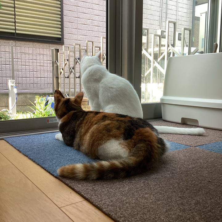 008b448c 392c 4b33 9fe5 27cfa1d9cd98 1655591377889