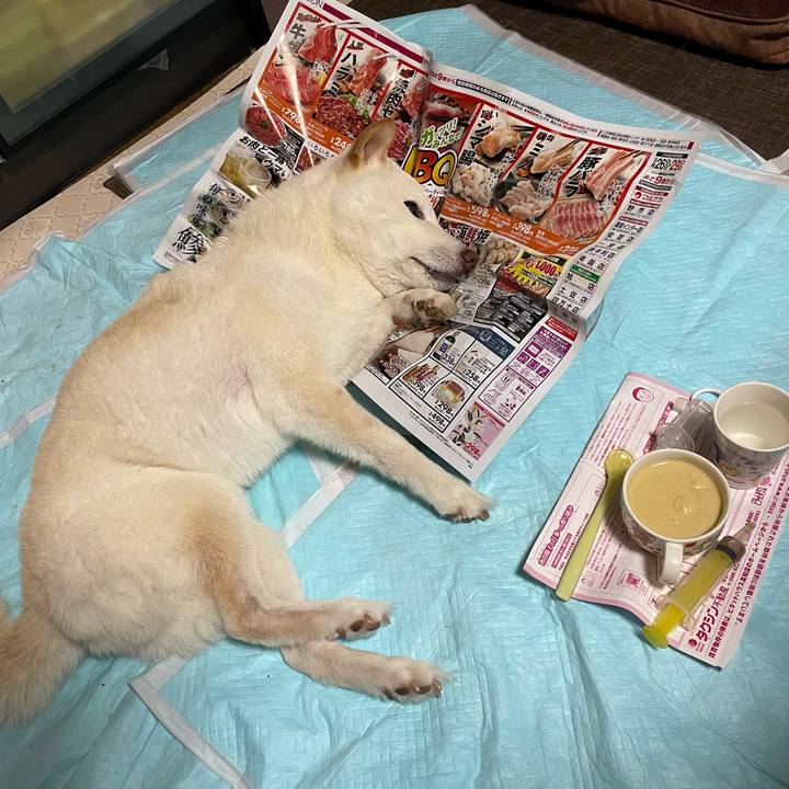 008b602d 67ec 4b97 a3b6 7a45d7b92aca 1653664791925