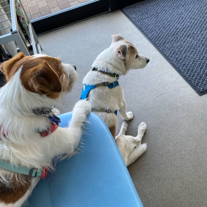 008b7c74 cff4 4baf a173 7a10541c7dc8 1714890187040