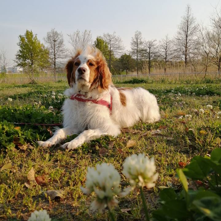 008b7c8d 7ef3 480e 940b 712710689934 1586432961134