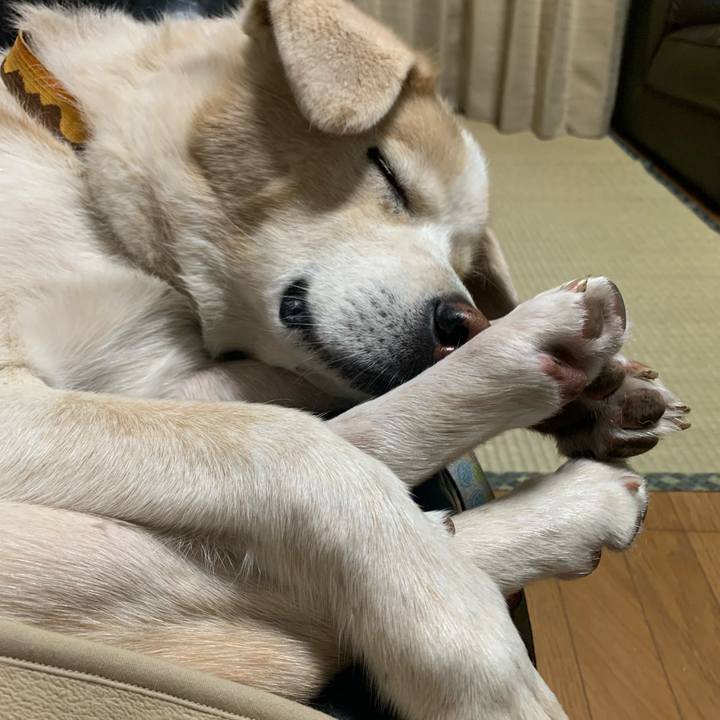 008b7e47 2fe9 4976 a387 afd8a1b0540f 1637930474720