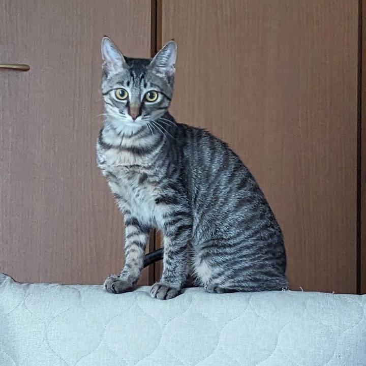 008b914e ec38 4fb2 b048 1e1771f09fe3 1707366226877