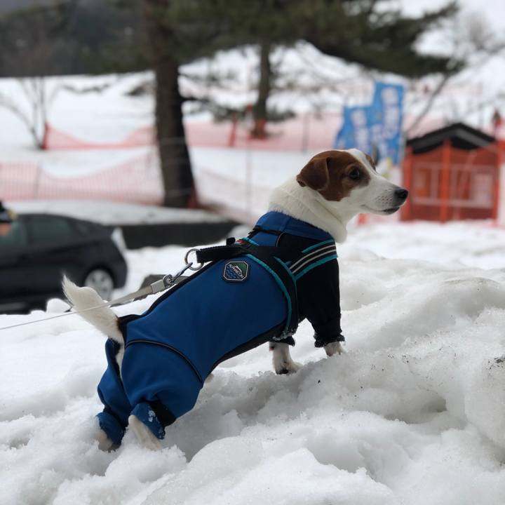 008bb41f fa65 4105 a9c8 4b2172459129 1676945328602