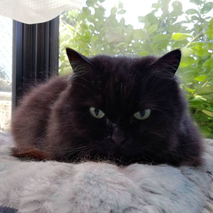 008bd981 b127 431e 9c0b 38040b9f8ff6 1526793025662