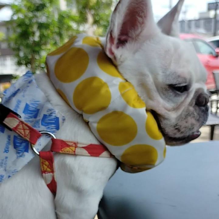 008c1f2f 4c61 46d2 9b02 8345d5964eee 1661161753039