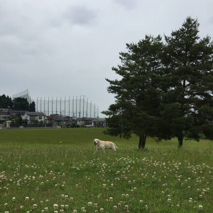 008c262f d2b3 4f91 93b1 7a03310b879d 1527657578636