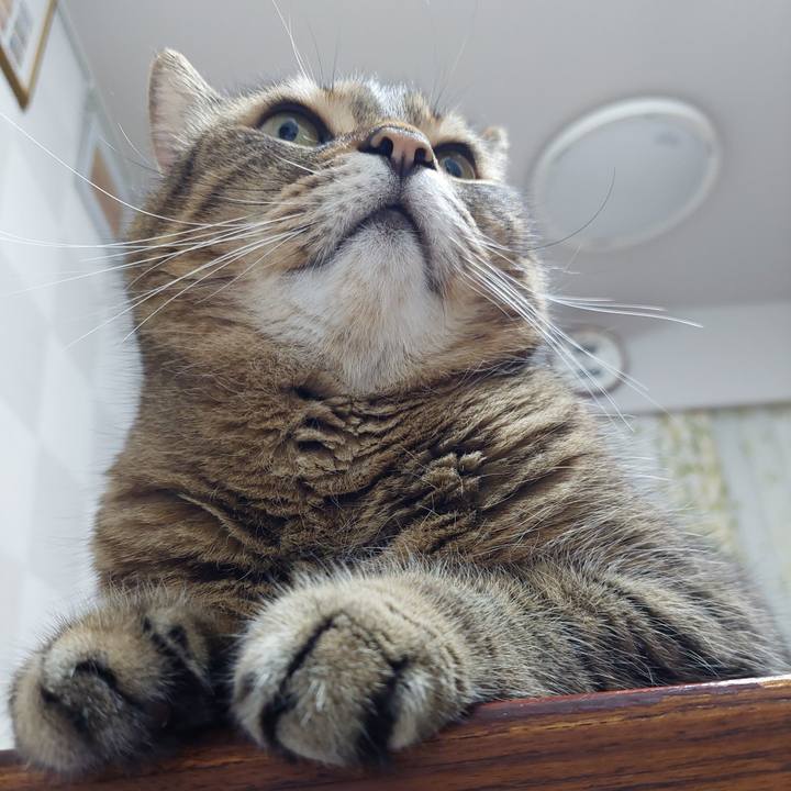 008c26f7 88b1 4bc4 8c57 5c08224c3a04 1634213574692