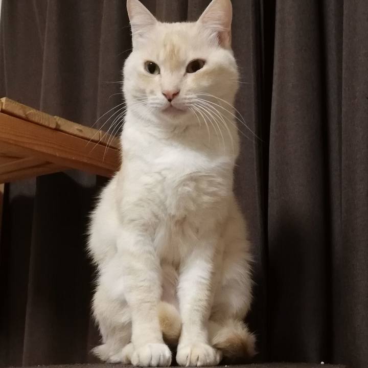 008c4d2b c7fc 4f10 8d55 3fddd4e8fd6a 1637410470813