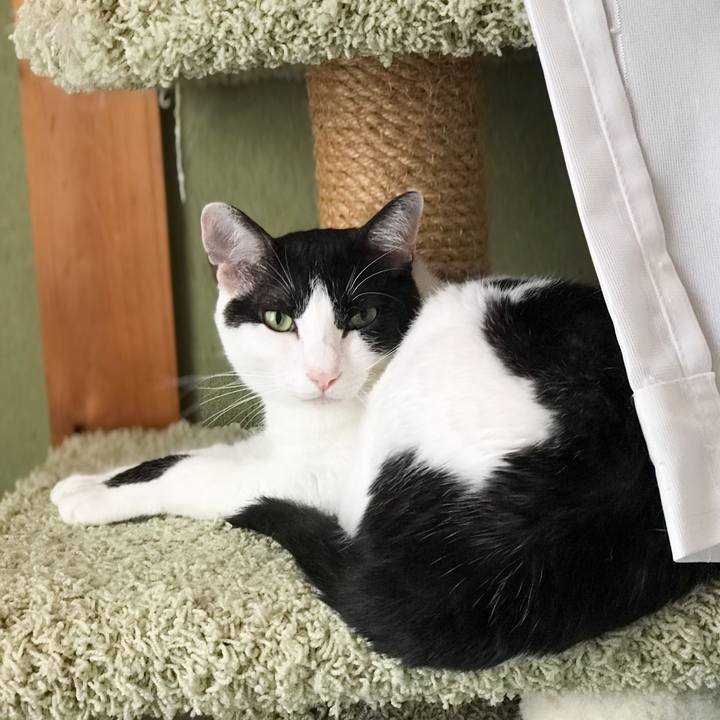 008c57cc 8b2f 4eb8 b43c bbfe105de570 1533564842128