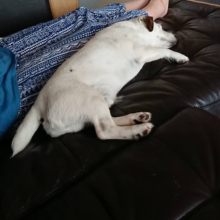 008c7098 2836 42e2 9e17 3048f2e99504 1530143038891