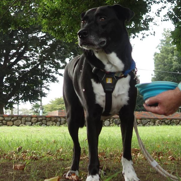 008c8471 9f1a 49bb 8732 ac84400a4f3f 1663030441366