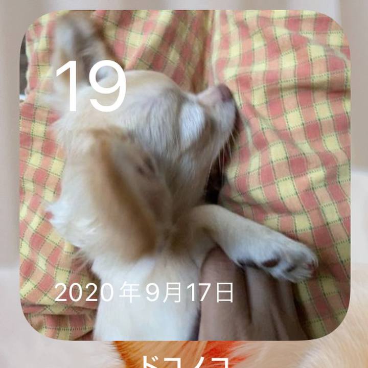 008cb112 bdf7 4d96 b154 1a4e77202d16 1663581867311