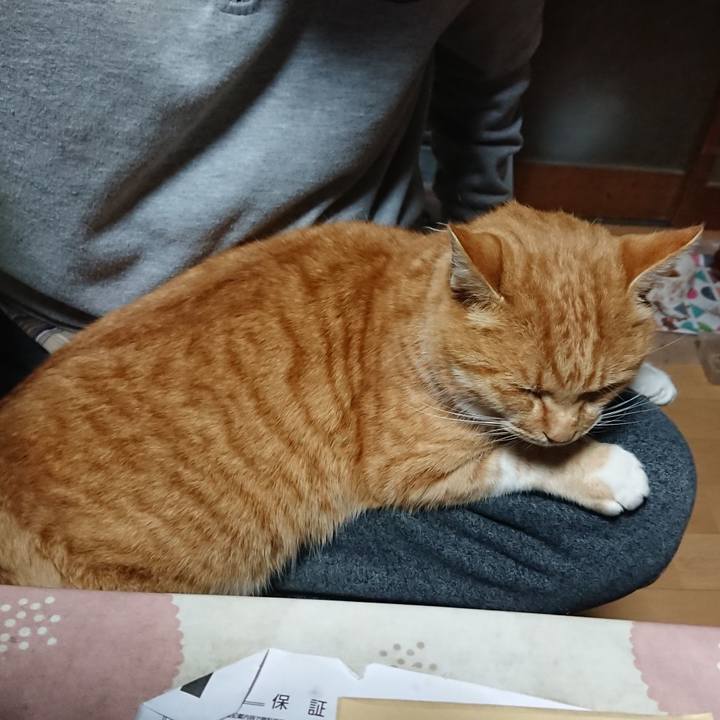 008cb2e6 d726 4d7a 8e35 40485c9aae3f 1608237817291