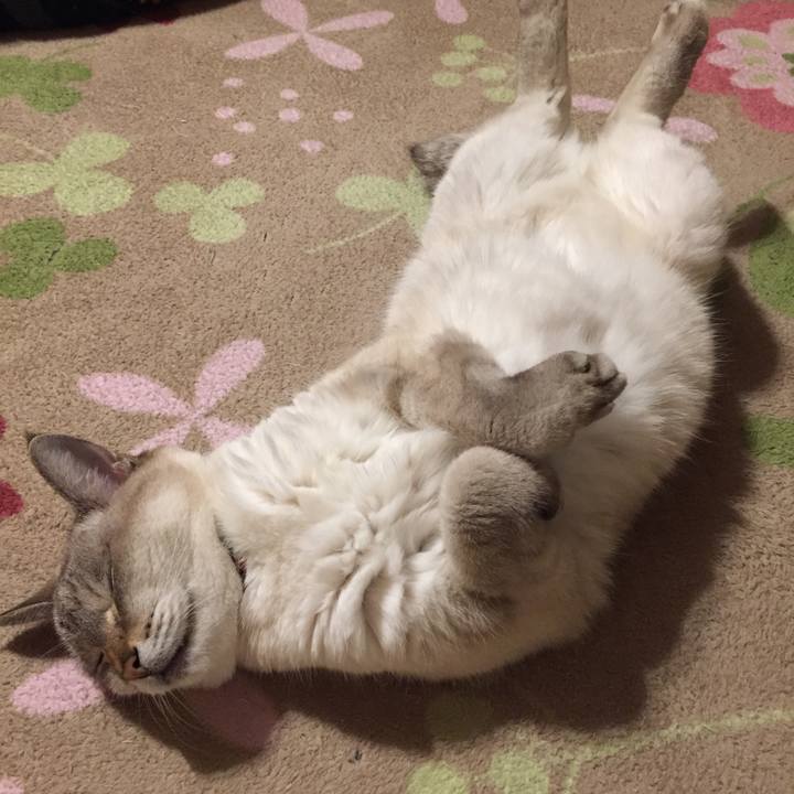 008cb34a 7383 49ee a9a4 9adfc49cb7a5 1578229148530