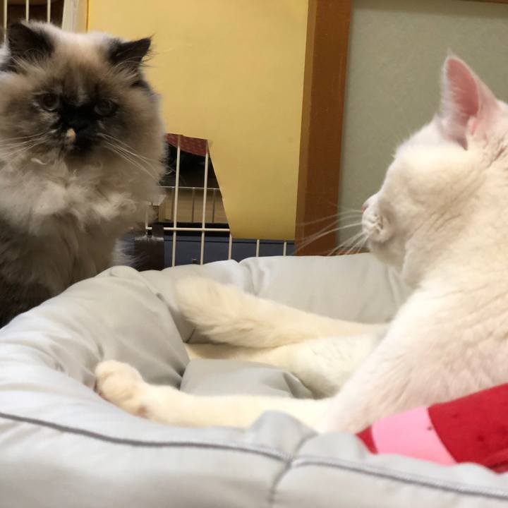 008d2ad8 d99a 4466 a0c4 912532c2ccbd 1639478103549