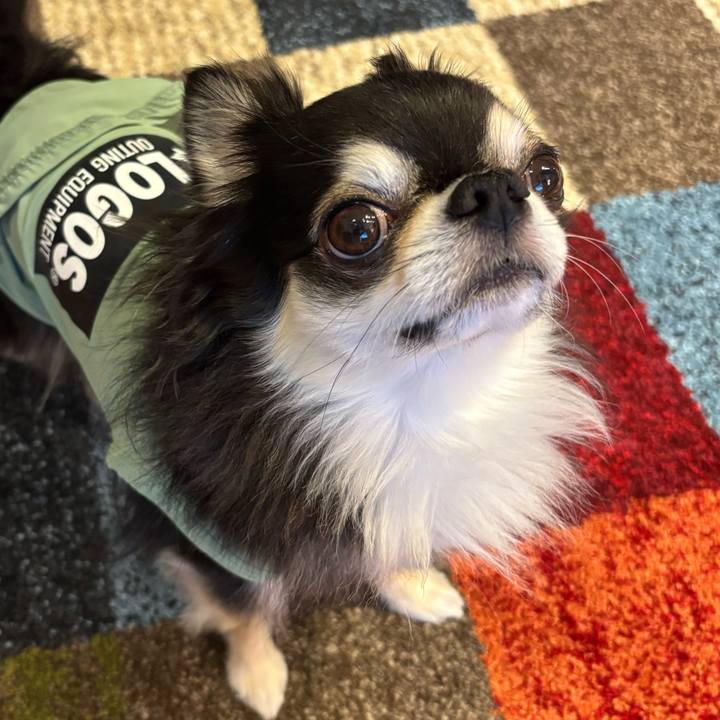 008d567d dbc9 42aa 9cdc b127adeb1567 1748701905941