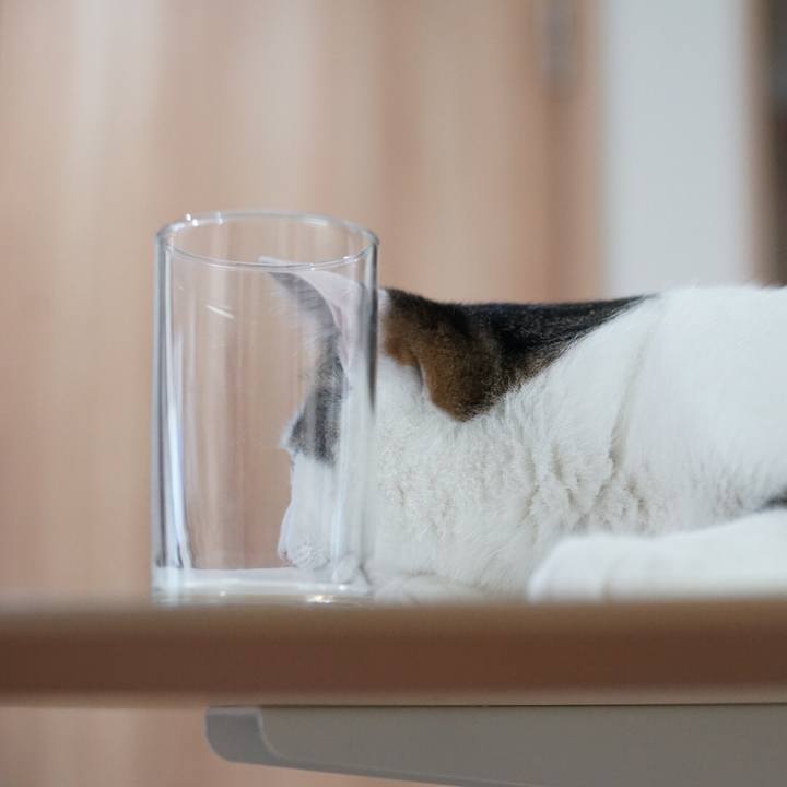 008d95f7 07a5 4084 9fc5 ce3585820ec4 1526514747153