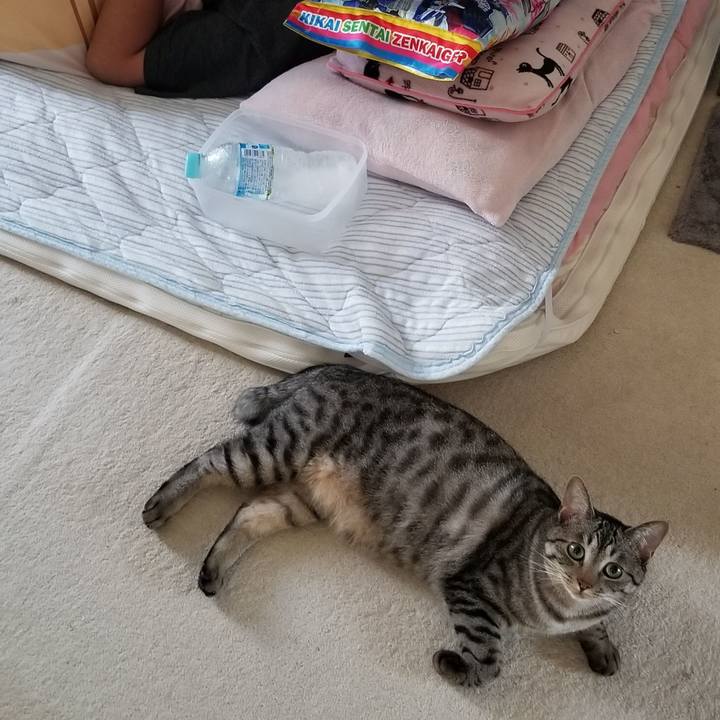 008dd0ad 1b4c 4e90 9b9e ac2c567706dd 1690546509707