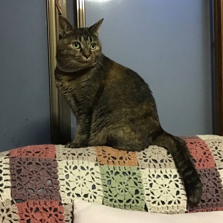 008de136 cd94 4187 8541 507cf1b1f9e1 1727606679031