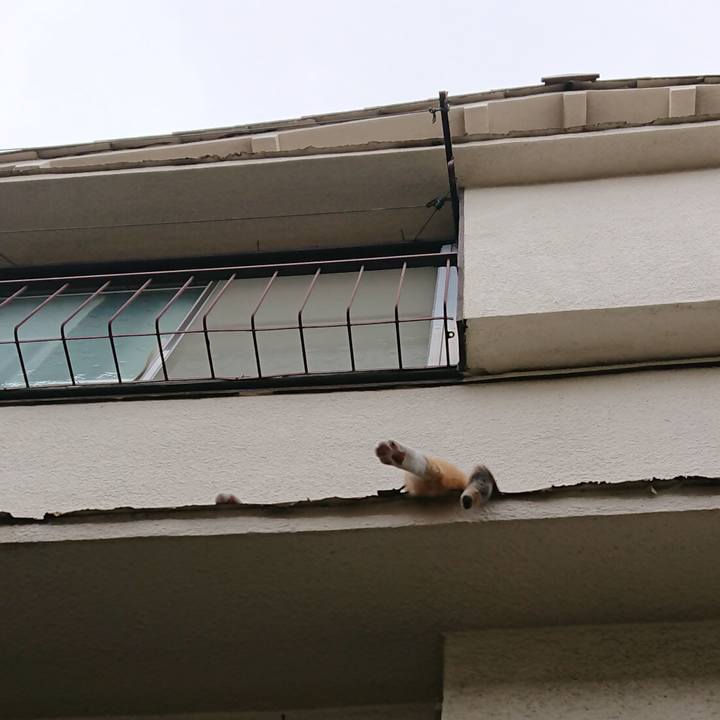 008de81a f779 4c65 ac00 bffabc92634e 1563165083697