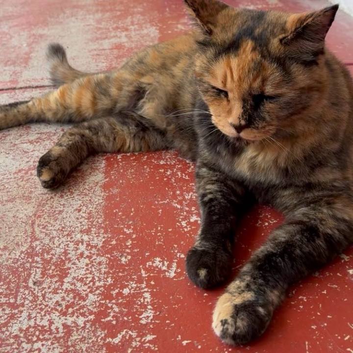 008e026b 0ecc 4d07 b6bf 783c2f145868 1753152668225