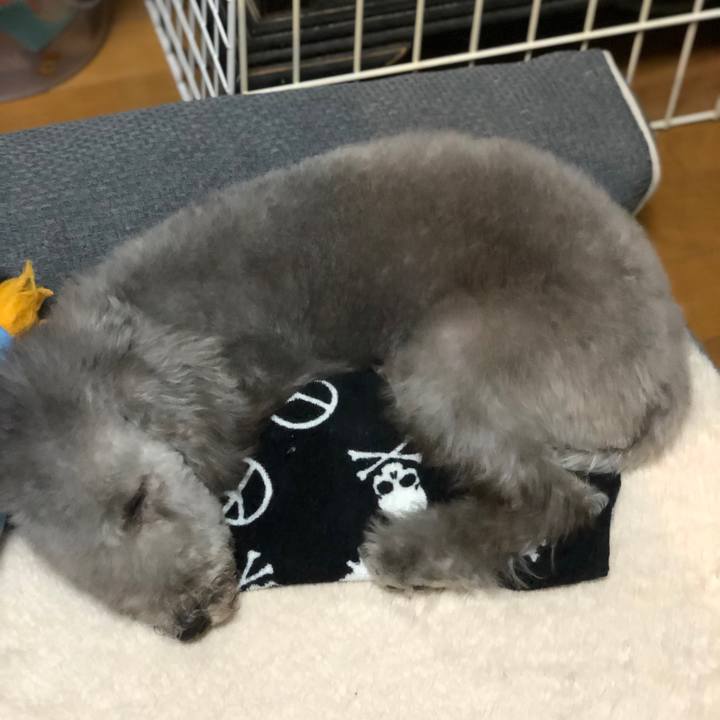 008e3425 fa41 476b be90 50717a1a6059 1572771437676