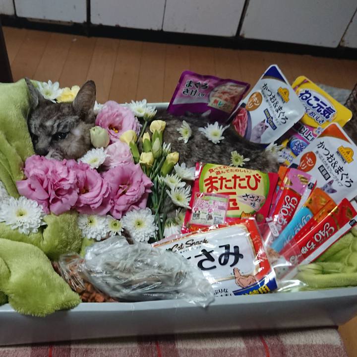 008e7b08 c00c 45eb 8775 a7b5ec6b813d 1599100789382