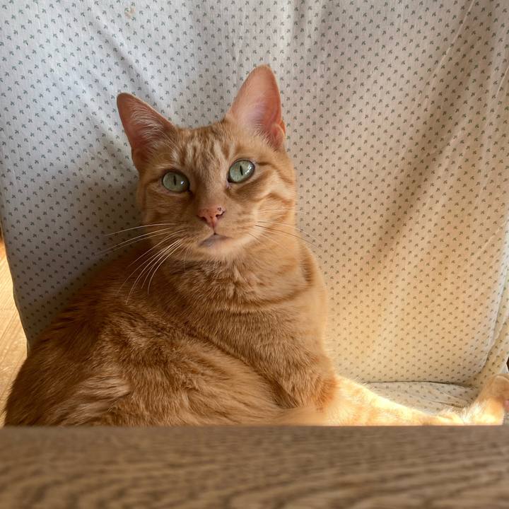 008e9abe 67d1 4c09 aaf2 eff66a243f9b 1675726499873