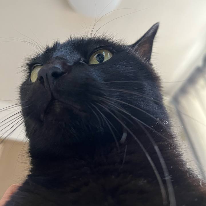 008eea4a 1ba2 47f7 b39b 9ba719c92cb5 1676166025643