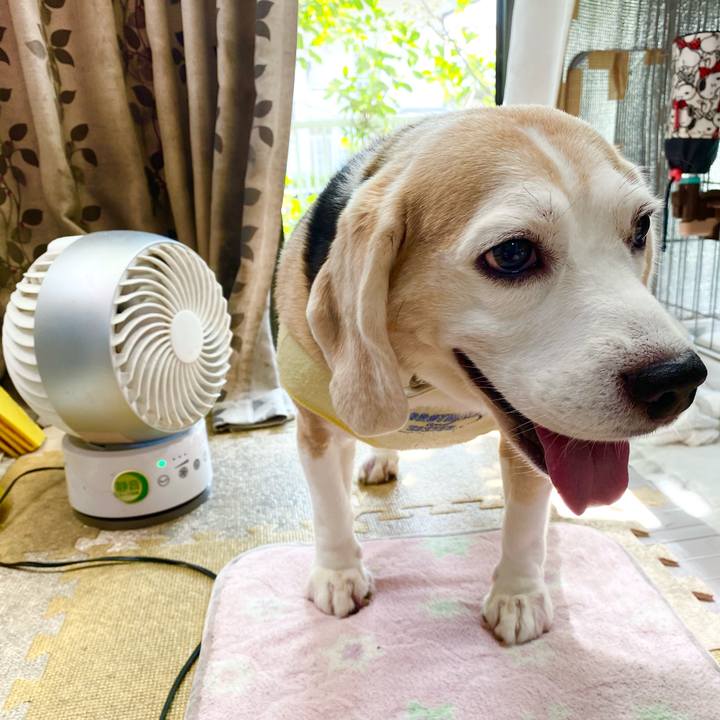 008f0939 44f5 4db3 bdc9 d69ebce02bd3 1631332275788