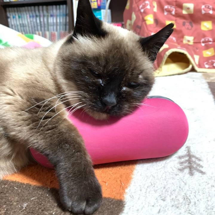 008f6b27 fa3f 458f 8c04 0f94d50afaae 1621306889318