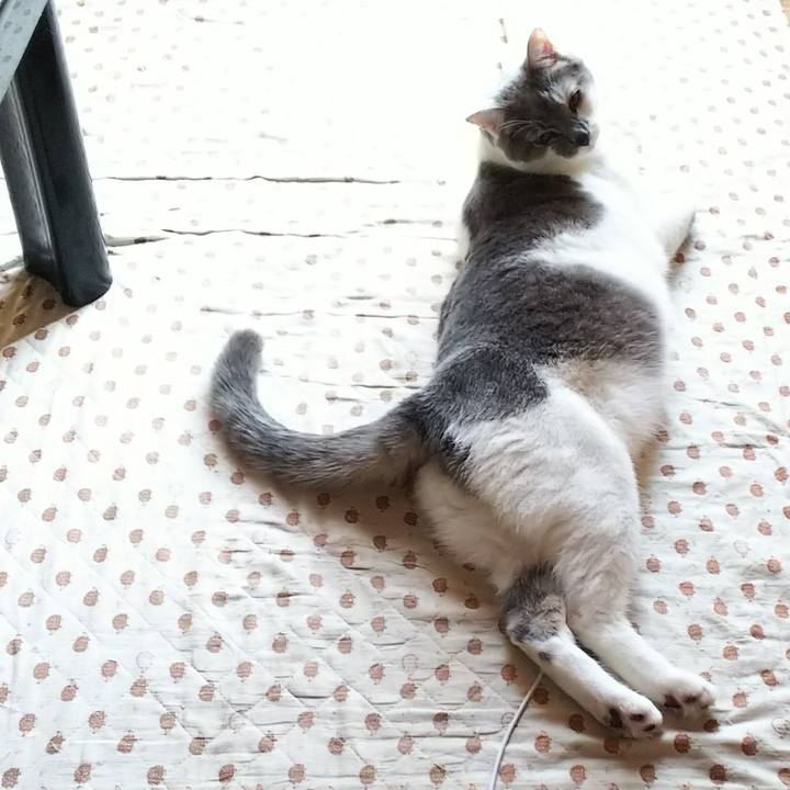 008f7d83 bfe1 4c75 a09c b86b90648bfb 1533542485197