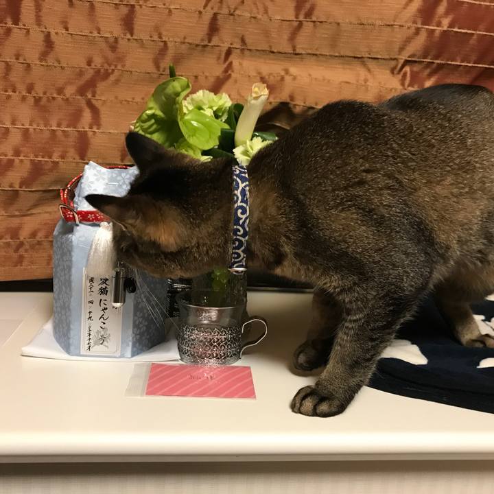 008fc138 2921 4bfd 9c54 927bf4792488 1556193012208