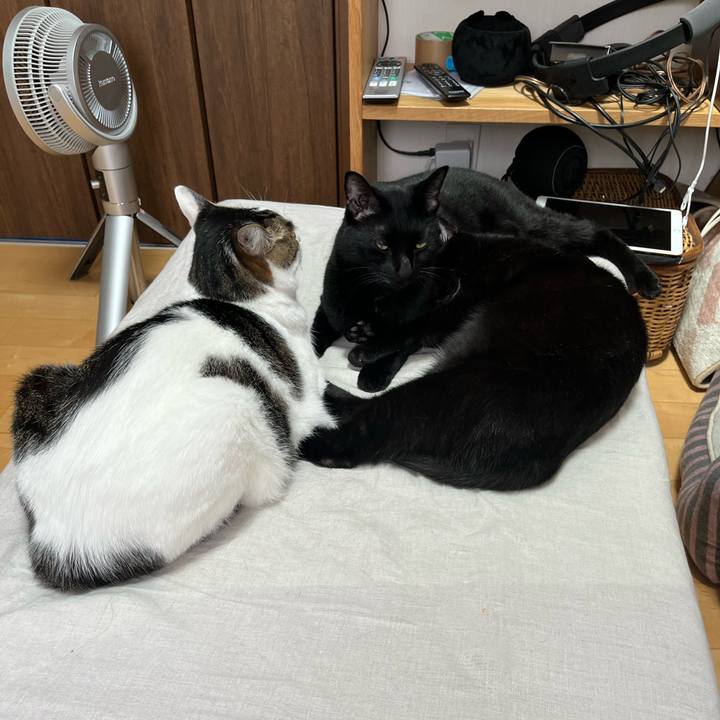 008fd20e 5d9b 4939 9af2 5a23c2e51d8e 1695607423604