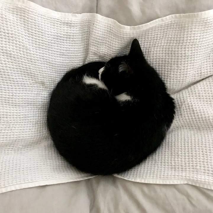 008fdd66 7931 450a a857 7aab035fe4cf 1561594711452