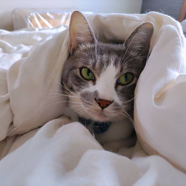 008fff5c e39e 4226 b276 10ecddd35538 1698542633938