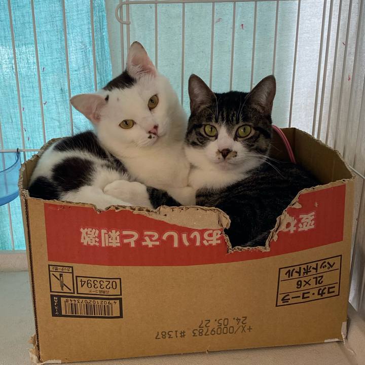 00900940 1a91 4427 8d7a 12dcd5c5b99a 1710219081413