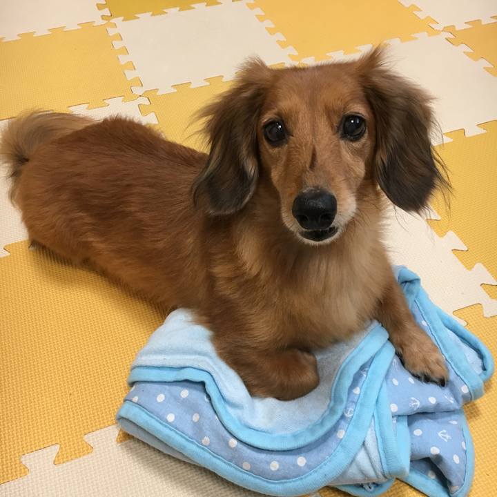 00900dcf 805b 45ac 8566 e27e0011a317 1539521220321