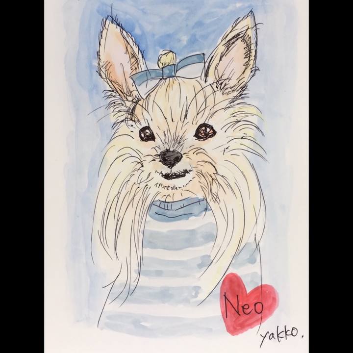 0090493b e06a 4ee1 8597 6eb940f1b3b3 1561876656381