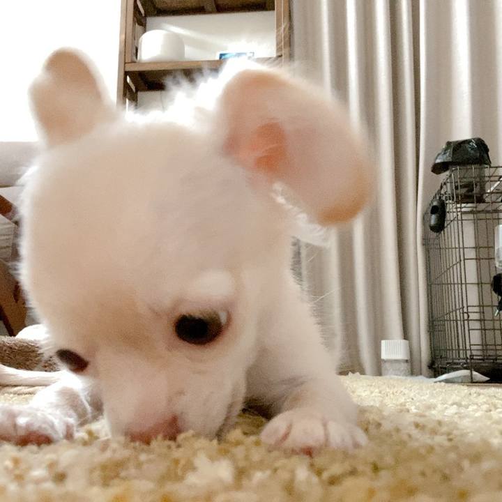 009060b2 6ca9 410a ac66 fb3f51ce00c4 1590892835744