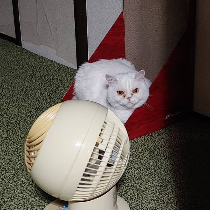 0090794c 0a04 4bf5 88f9 abf3ee2191bb 1671768008286