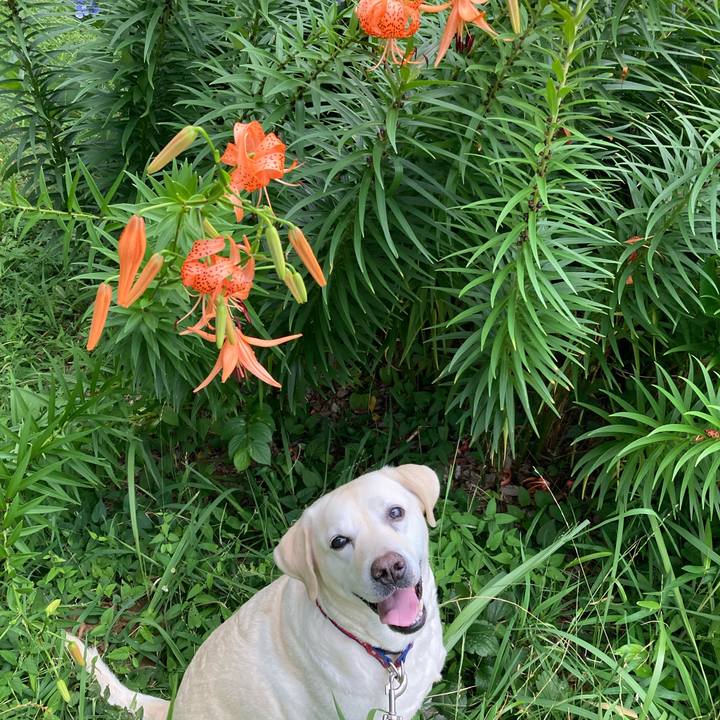 00909d4e 48e1 4ffd 9d1f 9013894772e2 1720697999488