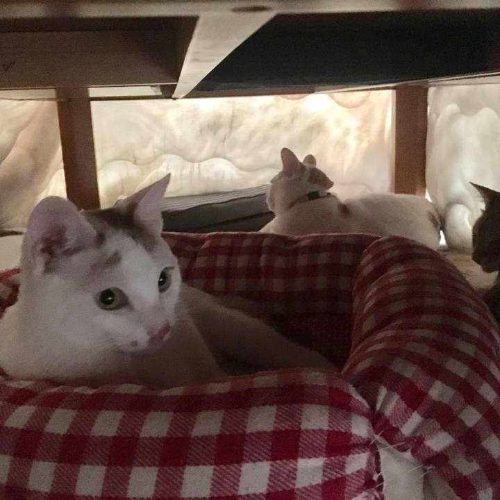 0090a2ae ac1f 4e86 8549 9a17e96aca47 1515558537838