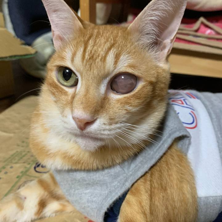 0090b672 a462 446d aabd fb2e8c36a8b9 1606307315028