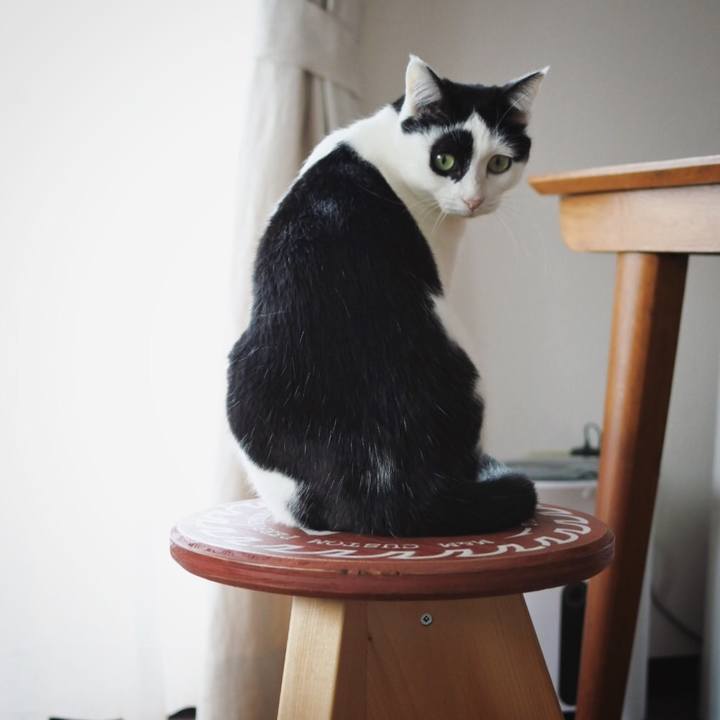 0090bad7 7823 47d3 b9e9 e4ceee56ec20 1518331843399