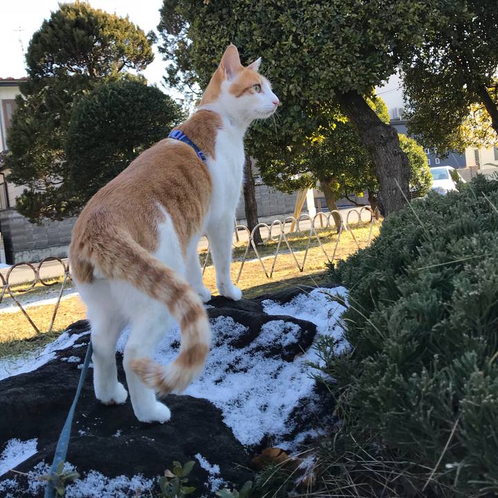 009103e4 6373 4839 bd02 6c834efc38d4 1515642449398