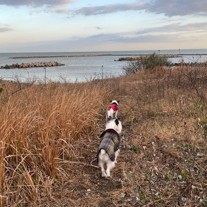 009131dc 3b49 465e 918c 2f221c6b4f49 1764459246793